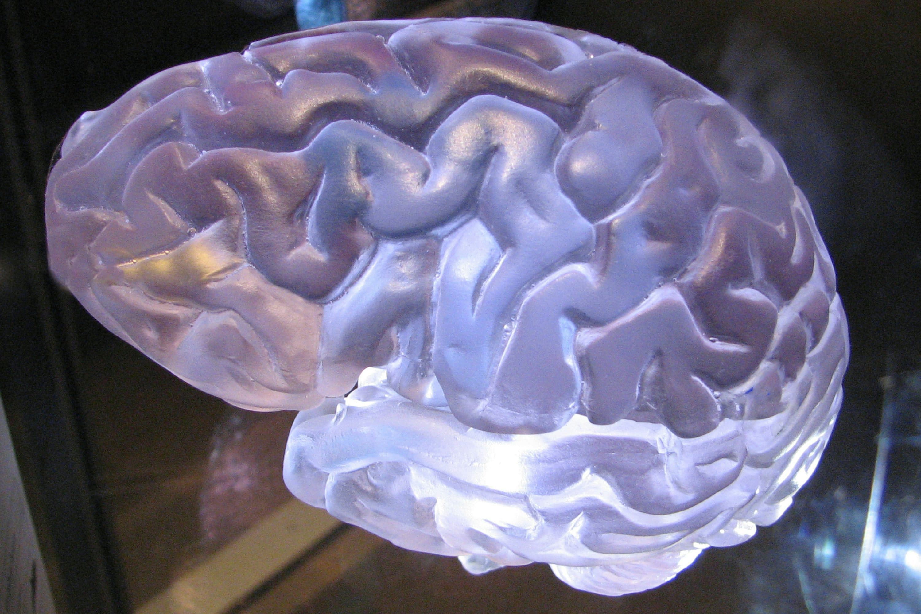 IQ・EQ・SQの違いとは?3つの知能指数を分かりやすく解説